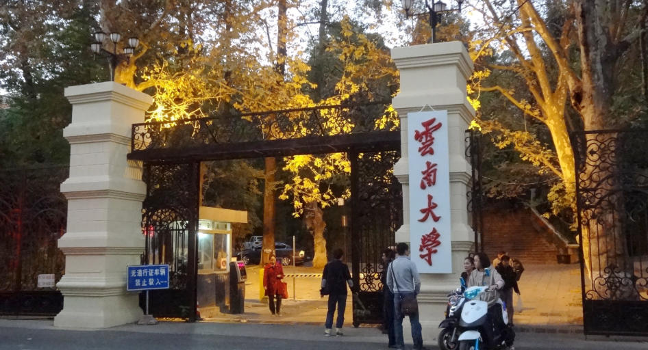 云南大学民族学专业保研率（2026年参考）