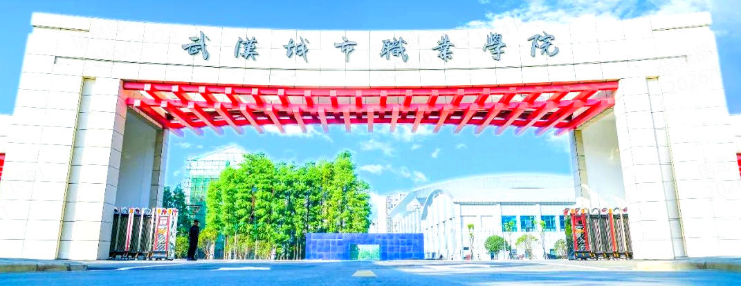 武汉城市职业学院2025年各省录取分数及位次(2025参考)