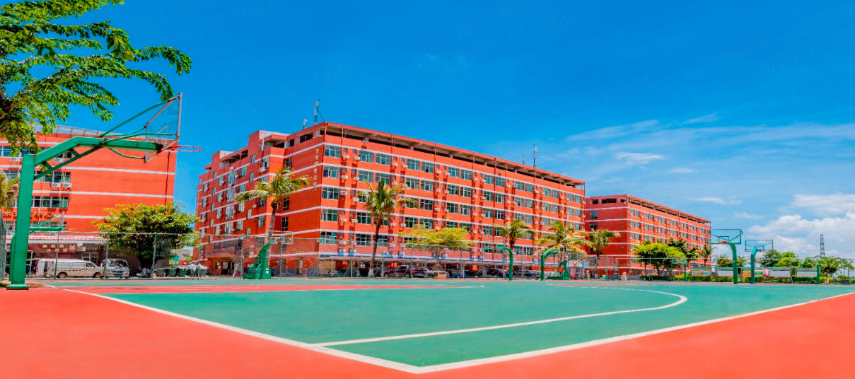 海南科技职业大学2024-2025在海南省录取分数及位次（ 2026参考）