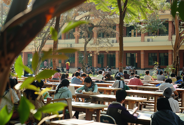 什么是对口升学