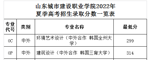 2024山东城市建设职业学院中外合作办学分数线（含2022-2023年）