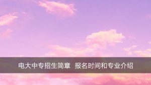 电大中专毕业证国家承认吗