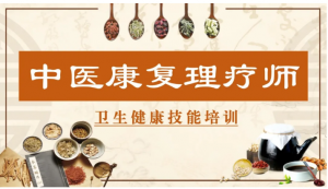 中医康复理疗师培训证书